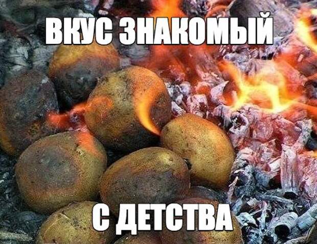 AoKI3iYuW5E