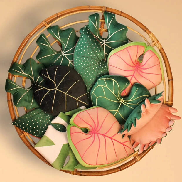 Гигантские листья растений, которые можно обнять: швейный блог недели