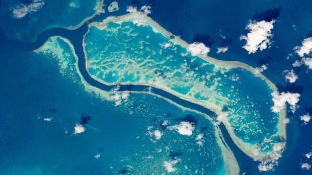 Над Большим Барьерным рифом установят защитный экран ynews, Большой Барьерный риф, австралия, защита среды, природа, экология