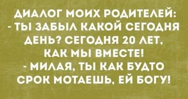 Истории и шутки для настроения
