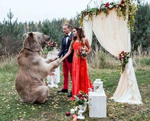 bear-stepan-betrothed-couple-from-moscow-02