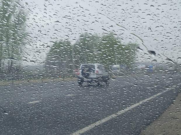 Ночью +5 градусов: в Смоленске продолжается похолодание