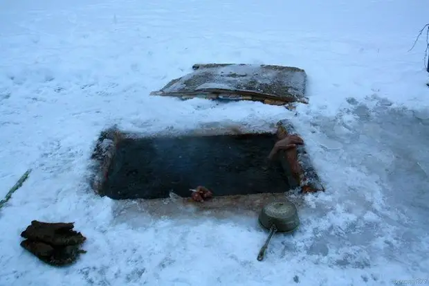 Всяческие фотоприколы