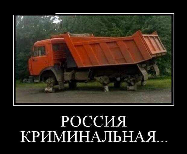 Демотиваторы - 977 Демотиваторы - 977
