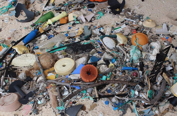 На небольшом острове насобиралось более 17 тонн пластикового мусора.