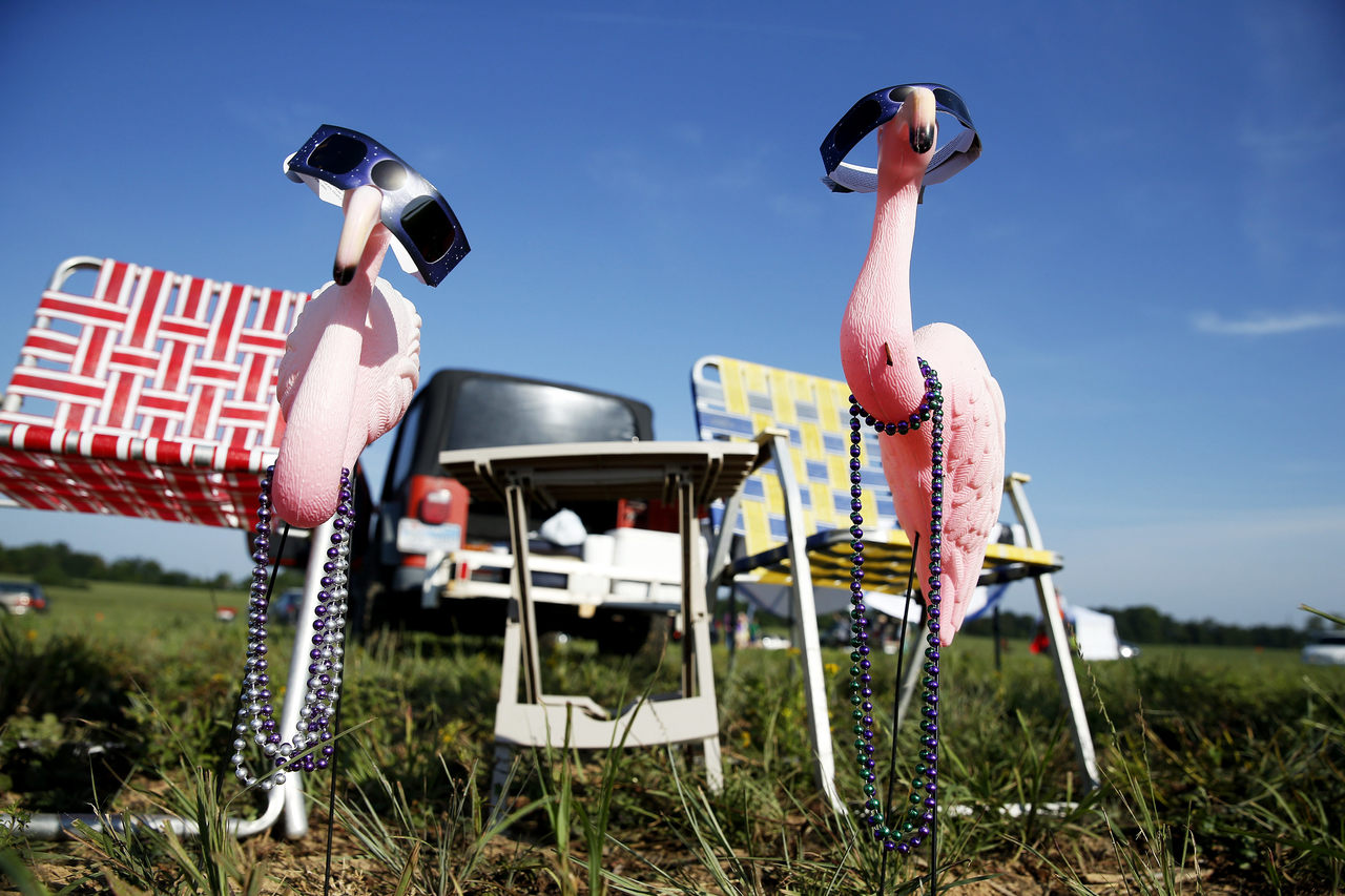 What, exactly, were birds up to?