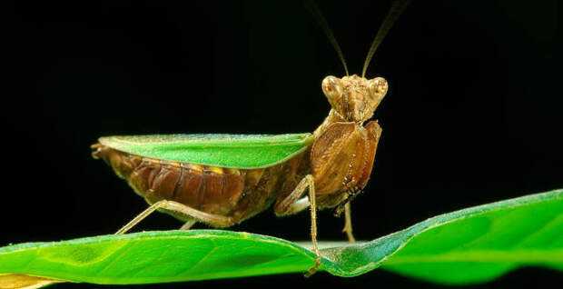 5ce75a290e2d1735ff305efa3029564f