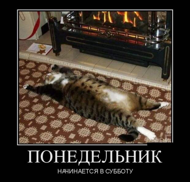 Демотиваторы (30 фото)