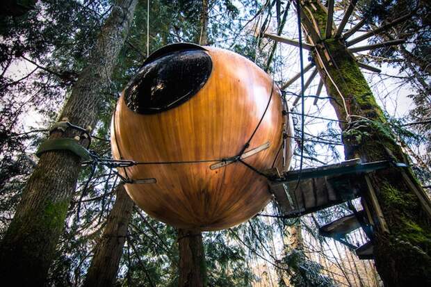 stay in a treehouse