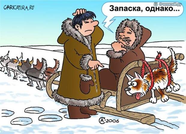 Карикатуры из сети 2