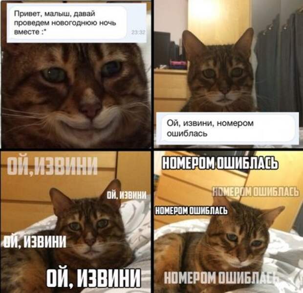 Не кисни, на фотоприколах зависни