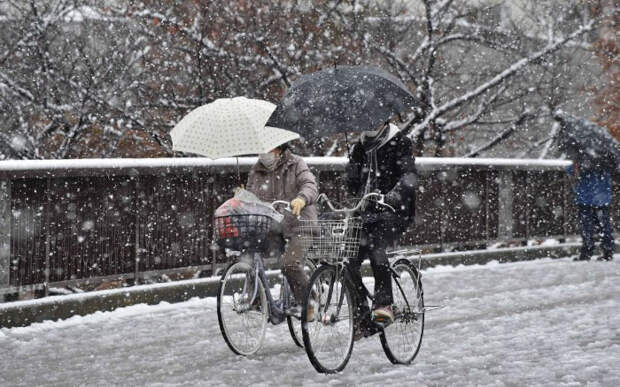 Tokyo First Snow In November 2016