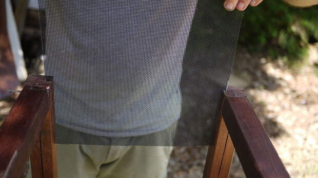 2,3 кило мух за неделю: как избавиться от насекомых на даче по австралийской методике