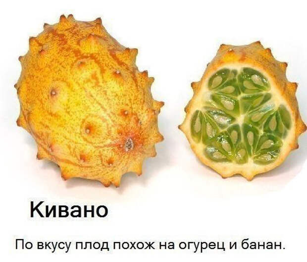 кивано