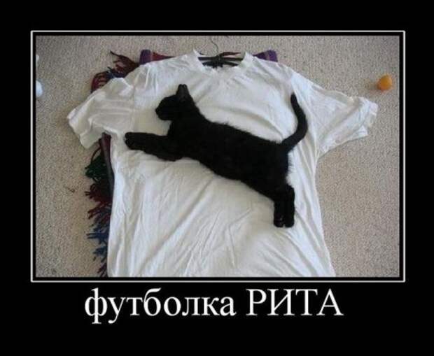 Смешные демотиваторы (18 шт)