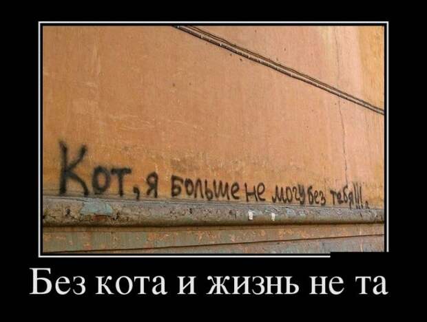 Демотиваторы №995 (30 фото)