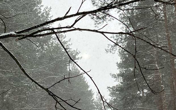 В Туме Рязанской области в ночь на 18 февраля похолодало до -28,2°С