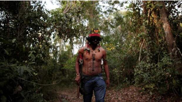 Лесные Стражи: как в Бразилии борются с незаконными вырубками