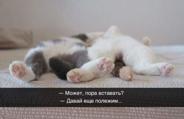 Житейская мудрость в прикольных картинках (23 фото)