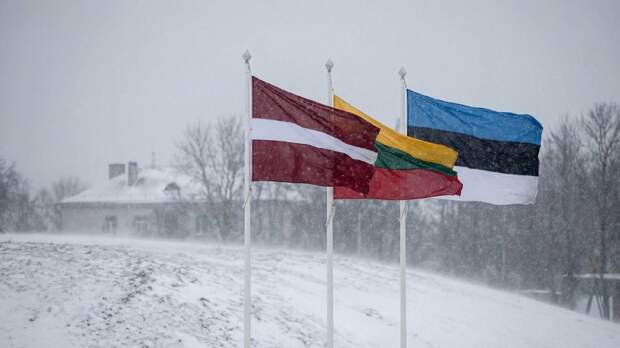 МИД: Россия оставляет за собой право на ответные меры против стран Прибалтики