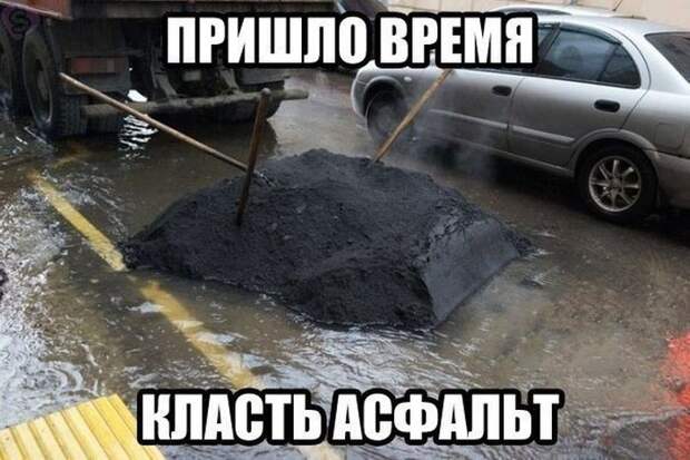 Прикольные картинки Прикольные картинки