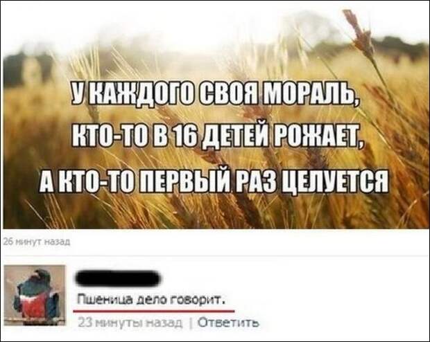 Смешные комментарии из социальных сетей