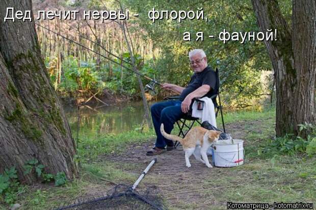 Котоматрица: Дед лечит нервы -  флорой, а я - фауной!