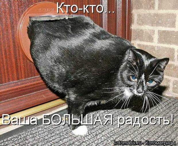 Мысли вслух :)