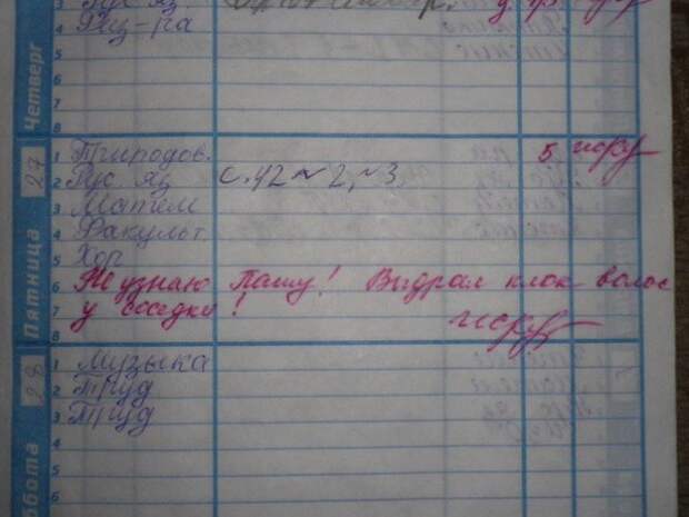 Безумно смешные записи учителей в школьных дневниках! Безумно смешные записи учителей в школьных дневниках!