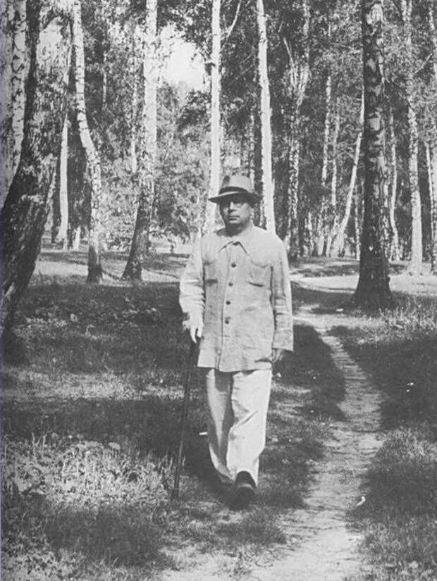 Николай Заболоцкий. Николай Заболоцкий.