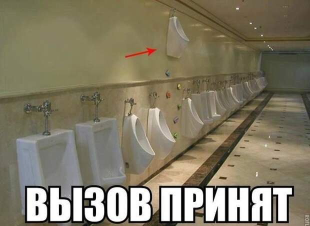 Смешные картинки с надписями прикол, юмор