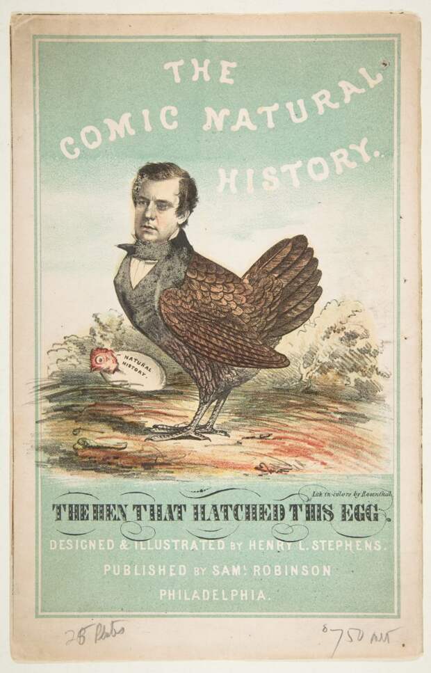 natural-history-of-the-human-race-cover-768x1198.jpg natural-history-of-the-human-race-cover-768x1198.jpg
