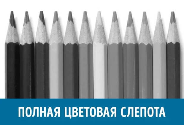 цветовая слепота