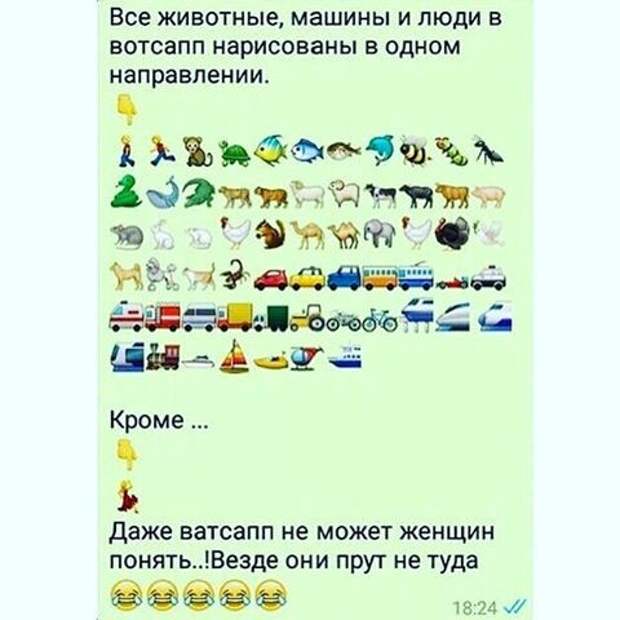 Ничего не предвещало беды, пока женщины не "включили" логику и смекалку девушки, женская логика, женщины, прикол, юмор