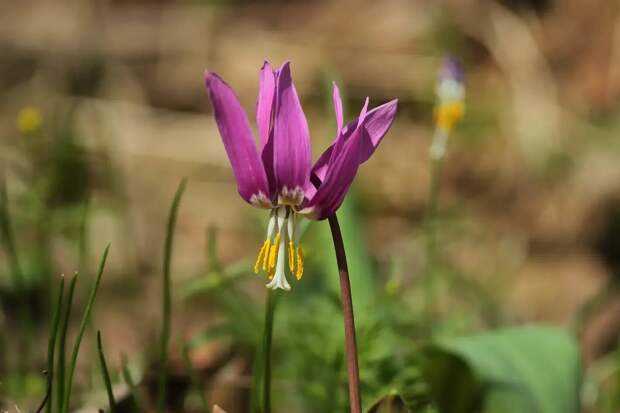 Поздравляем поэта Юрия Михайлова с днём рждения!