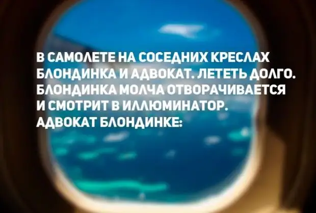 В самолете на соседних креслах блондинка и адвокат