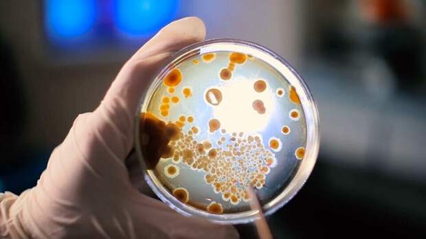 Фото: © Кадр из программы "Загадки человечества", РЕН ТВ