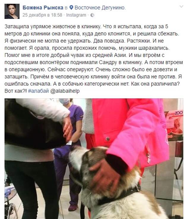 "Я могу только проклинать". Рынска дала интервью "Радио Свобода"