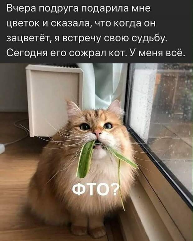 Не судьба Не судьба
