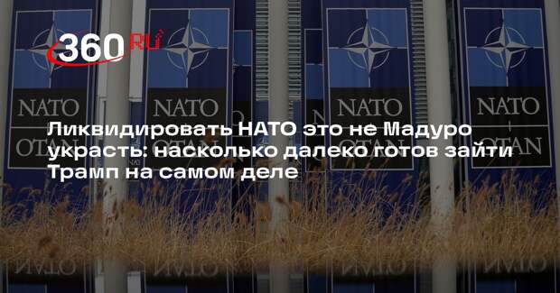 Медведев задался вопросом, на что готов Трамп ради Гренландии