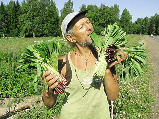 Жеруха, кислица, солодка, горчак, борщевик, иван-чай, огуречник (лабазник), медуница —эти народные названия растений отражают их вкусовые качества.
