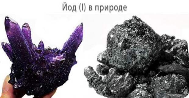 Влияние йода на организм человека презентация