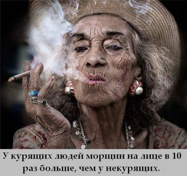 Интересные факты в картинках