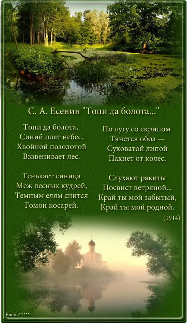 Есенин меж лесных кудрей. Стихотворение есенина топи да болота текст. Тенькает синица. Тенькает меж лесных кудрей. Стихотворение есенина топи да болота.