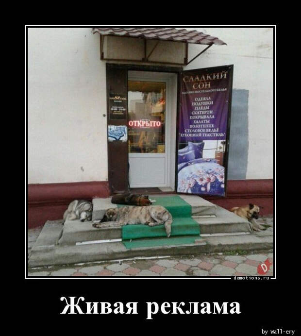 Демотиваторов пост: «Таити…» (16 фото)