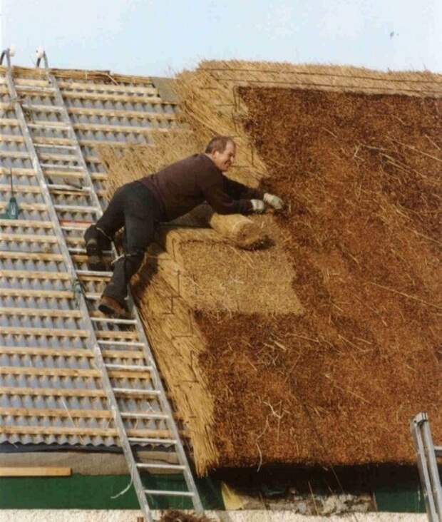 42 42