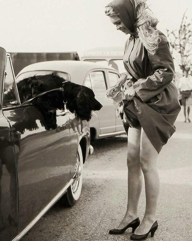 Брижит Бардо с кроликом и ее собакой, 1956. история, люди, фото
