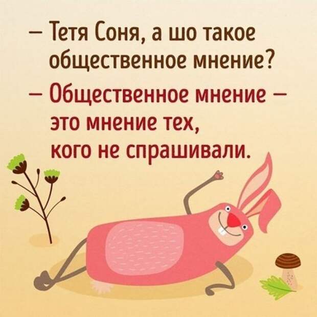 Задорные открытки с отборным юмором