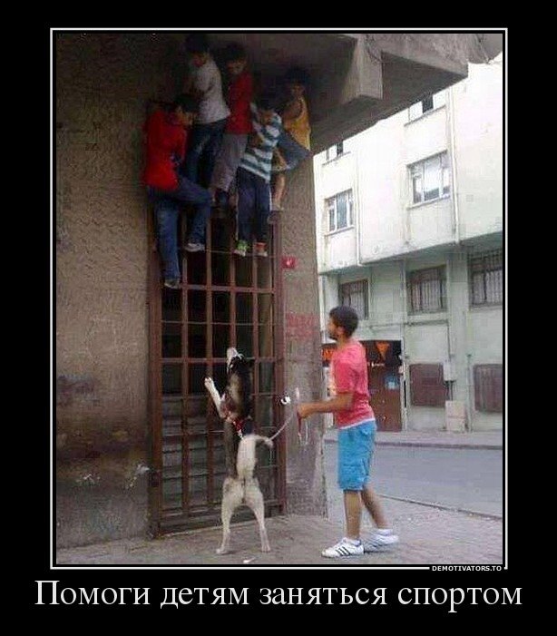 Новая коллекция демотиваторов (26 шт)