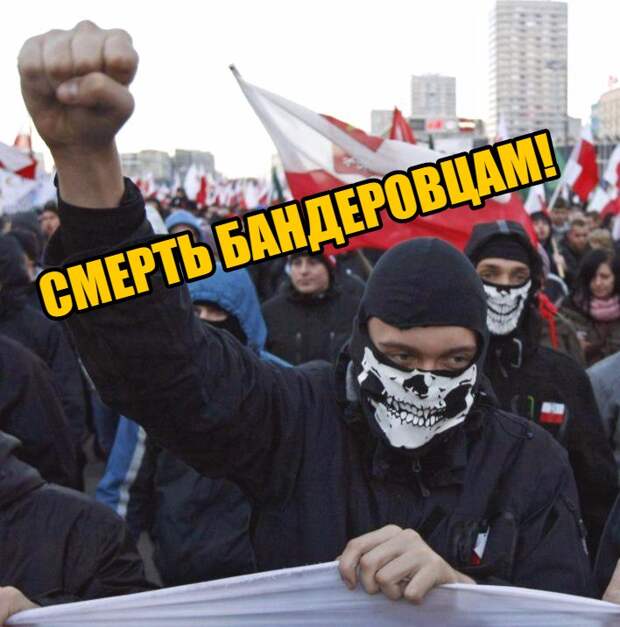 Поляки не рады украинским гастрабайтерам: «Убирайтесь из нашего дома!»